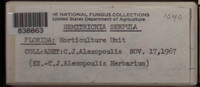 Image Associated With the Occurence